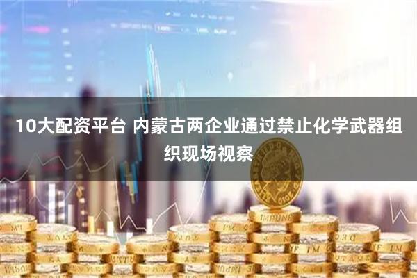 10大配资平台 内蒙古两企业通过禁止化学武器组织现场视察