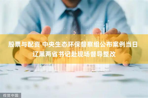 股票与配资 中央生态环保督察组公布案例当日 辽黑两省书记赴现场督导整改